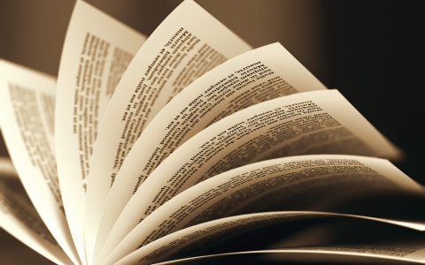 Recent Publications (2020)