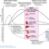 September to remember the survival war against sepsis: INA-RESPOND participation in Southeast Asia infectious disease clinical research network and hints update of the 2021’s surviving sepsis campaign