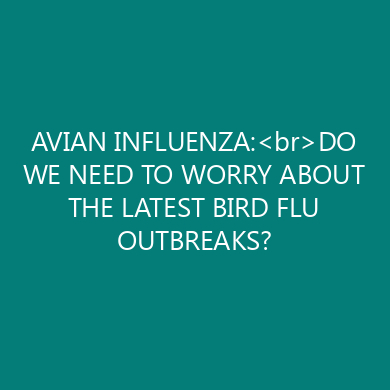 AVIAN INFLUENZA:<br>DO WE NEED TO WORRY ABOUT THE LATEST BIRD FLU OUTBREAKS?
