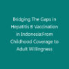 Bridging The Gaps in Hepatitis B Vaccination in Indonesia:From Childhood Coverage to Adult Willingness