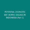 POTENTIAL ZOONOTIC BAT-BORNE DISEASE IN INDONESIA (Part 1)