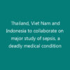Thailand, Viet Nam and Indonesia to collaborate on major study of sepsis, a deadly medical condition