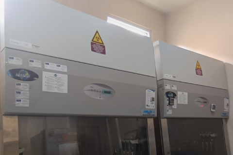 DNA / RNA Extraction