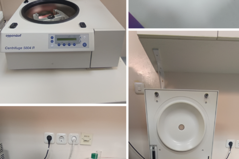 DNA / RNA Extraction