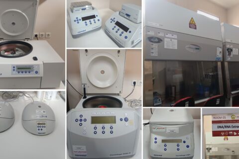 DNA / RNA Extraction