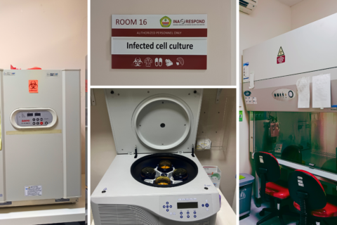 Infected Cell Culture