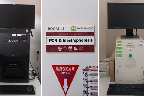 PCR & Electrophoresis